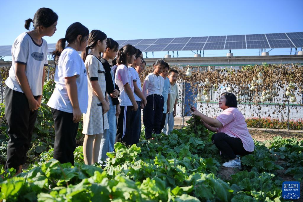 集结号大厅登录